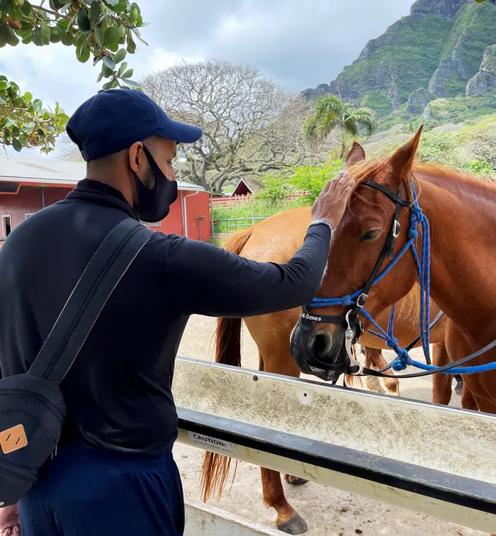 Horseback in Oahu